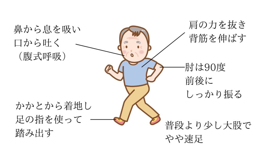 ・鼻から息を吸い、口から吐く(腹式呼吸)
・肩の力は抜き背筋を伸ばす
・肘は90℃、前後にしっかり振る
・かかとから着地し足の指を使って踏み出す
・普段より少し大股でやや速足