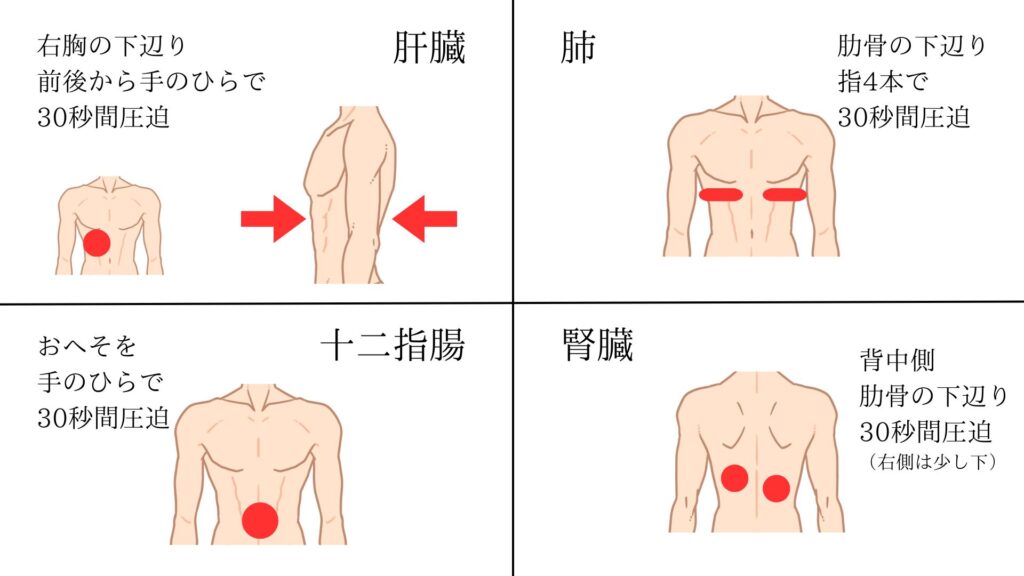肝臓：右胸の下辺りを前後から手のひらで30秒圧迫
肺：肋骨の下辺りを指四本で30秒間圧迫
十二指腸：おへそを手のひらで30秒間圧迫
腎臓：背中側の肋骨の下辺りを30秒間圧迫（右側は少し下）