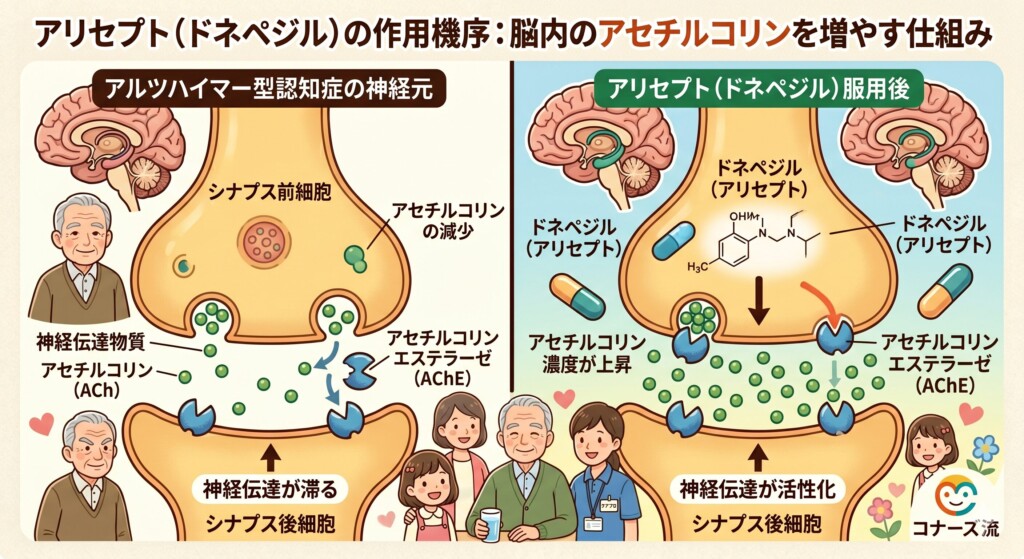 認知症治療の第一選択薬「アリセプト（ドネペジル）」の本来の効果と役割