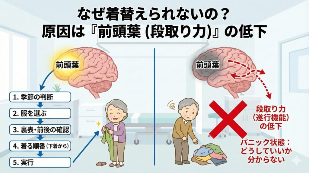 なぜ着替えられないの?原因は「前頭葉(段取り力)」の低下